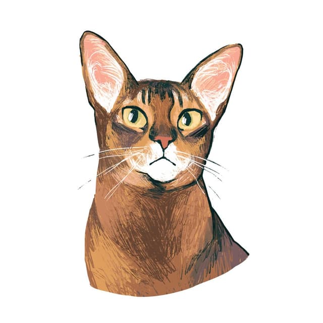 icon Chief Cat, Glitch